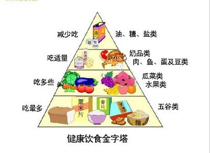 幼儿园食物金字塔图片